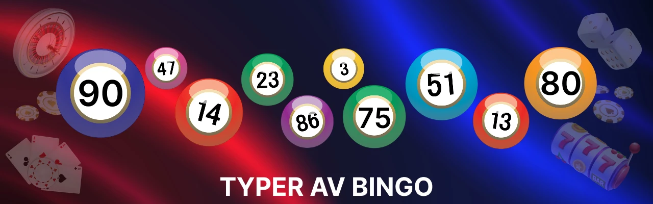 Typer av bingo pa nett